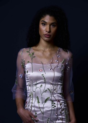 Fairy Lace Dress Fairy Lace Dress